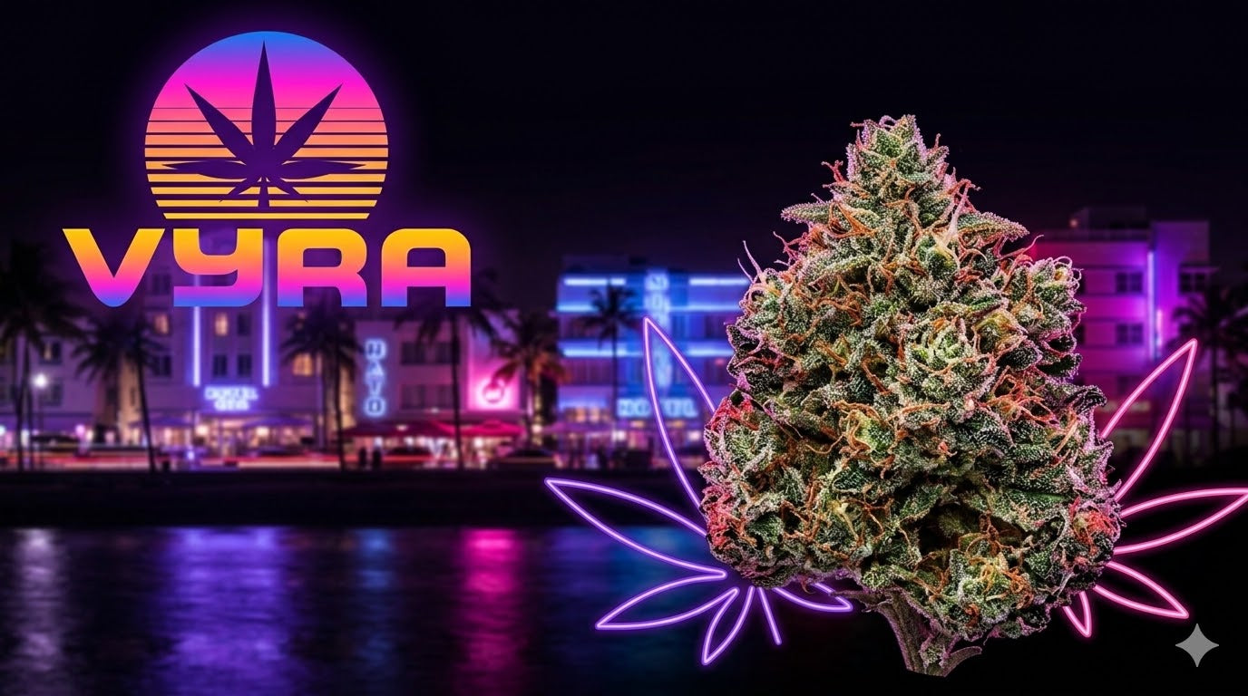 Le CBD : qu’est-ce que c’est et pourquoi est-il autant populaire ? Image