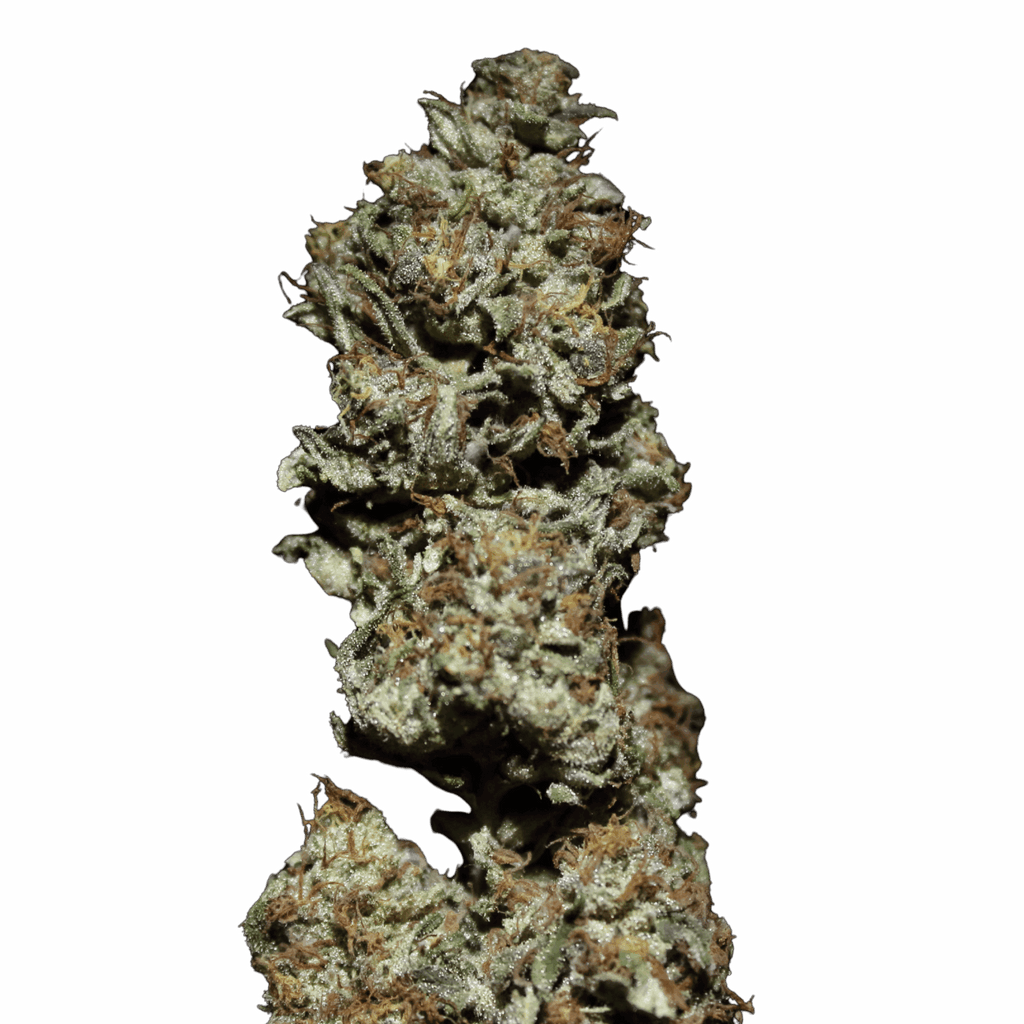 OG Kush CBD — Boise, Citronne, Equilibre