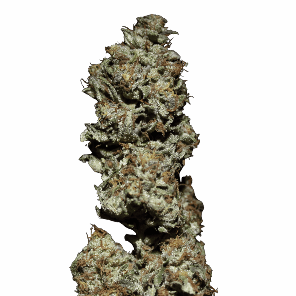 OG Kush CBD — Boise, Citronne, Equilibre