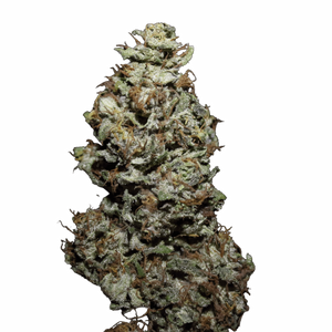 OG Kush CBD — Boise, Citronne, Equilibre